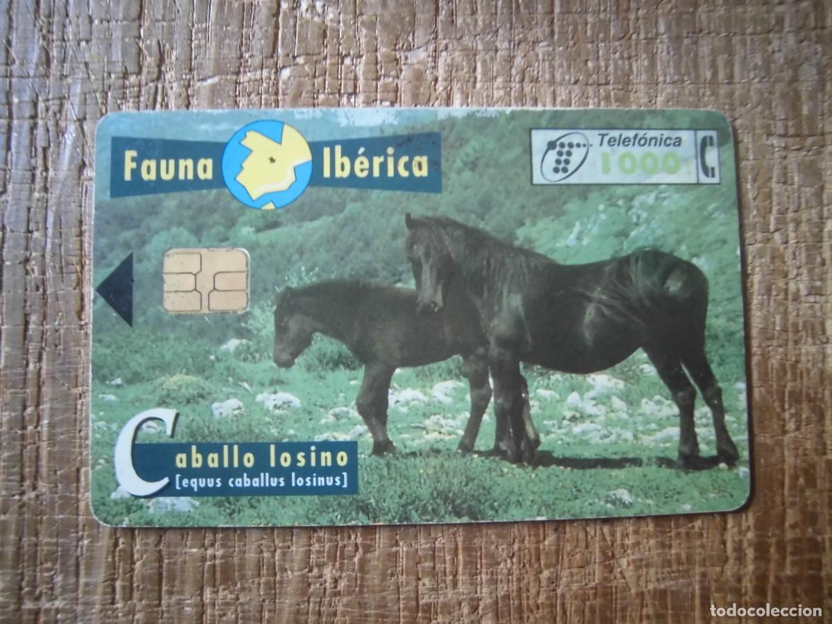 Tarjetas telef&oacute;nicas de colecci&oacute;n: TARJETA TELEF&Oacute;NICA CABALLO LOSINO FAUNA IB&Eacute;RICA 1000 PESETAS