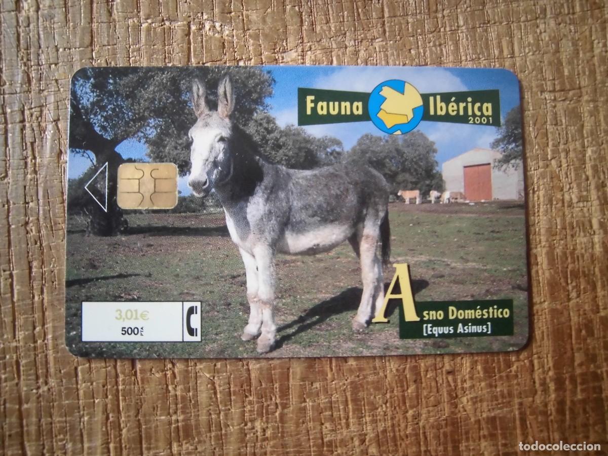 Tarjetas telef&oacute;nicas de colecci&oacute;n: TARJETA TELEF&Oacute;NICA ASNO DOM&Eacute;STICO FAUNA IB&Eacute;RICA 500 PESETAS