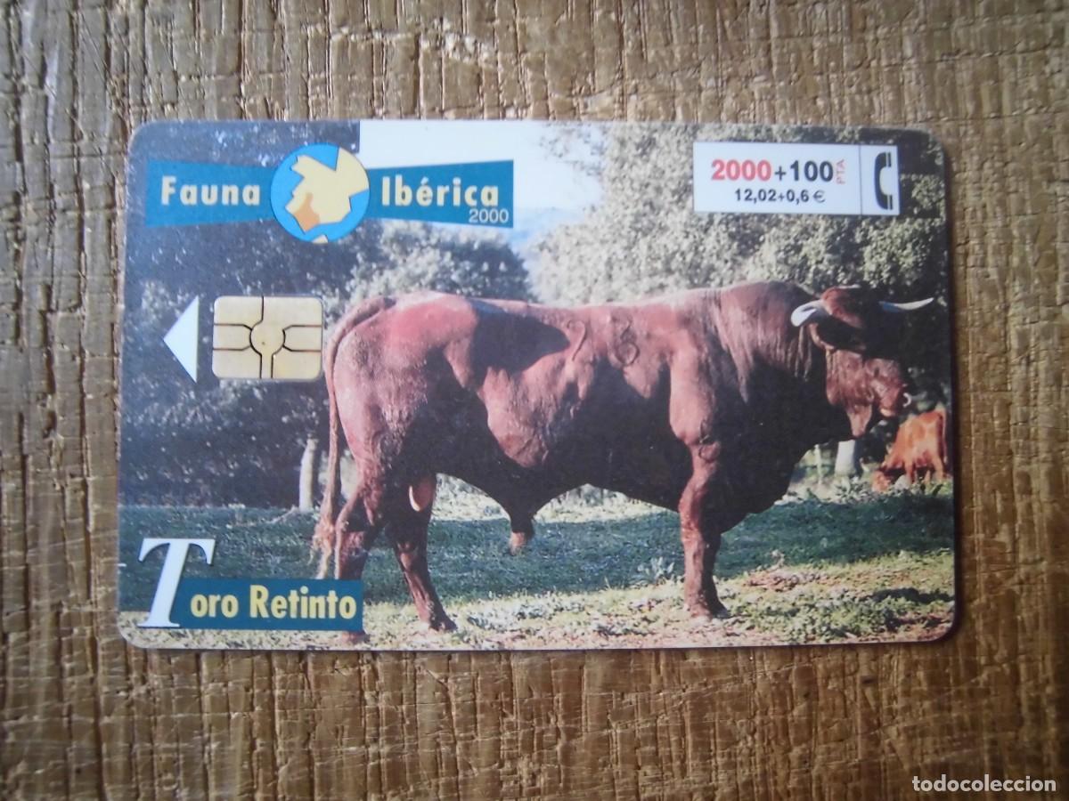 Tarjetas telef&oacute;nicas de colecci&oacute;n: TARJETA TELEF&Oacute;NICA TORO RETINTO FAUNA IB&Eacute;RICA 2000 PESETAS