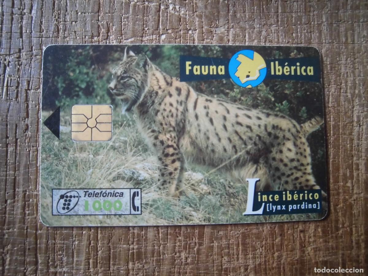 Tarjetas telef&oacute;nicas de colecci&oacute;n: TARJETA TELEF&Oacute;NICA LINCE IB&Eacute;RICO FAUNA IB&Eacute;RICA 1000 PESETAS