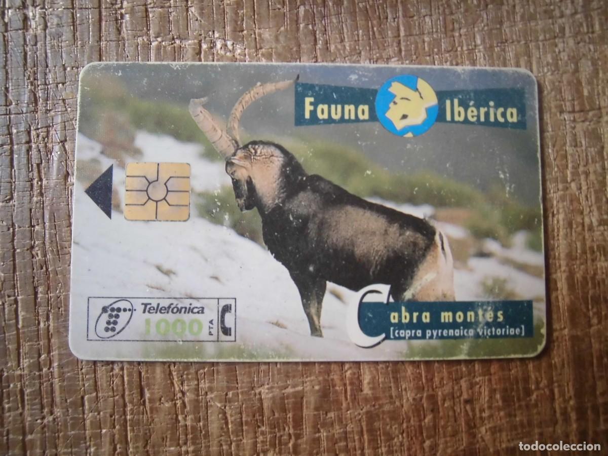 Tarjetas telef&oacute;nicas de colecci&oacute;n: TARJETA TELEF&Oacute;NICA CABRA MONT&Eacute;S FAUNA IB&Eacute;RICA 1000 PESETAS