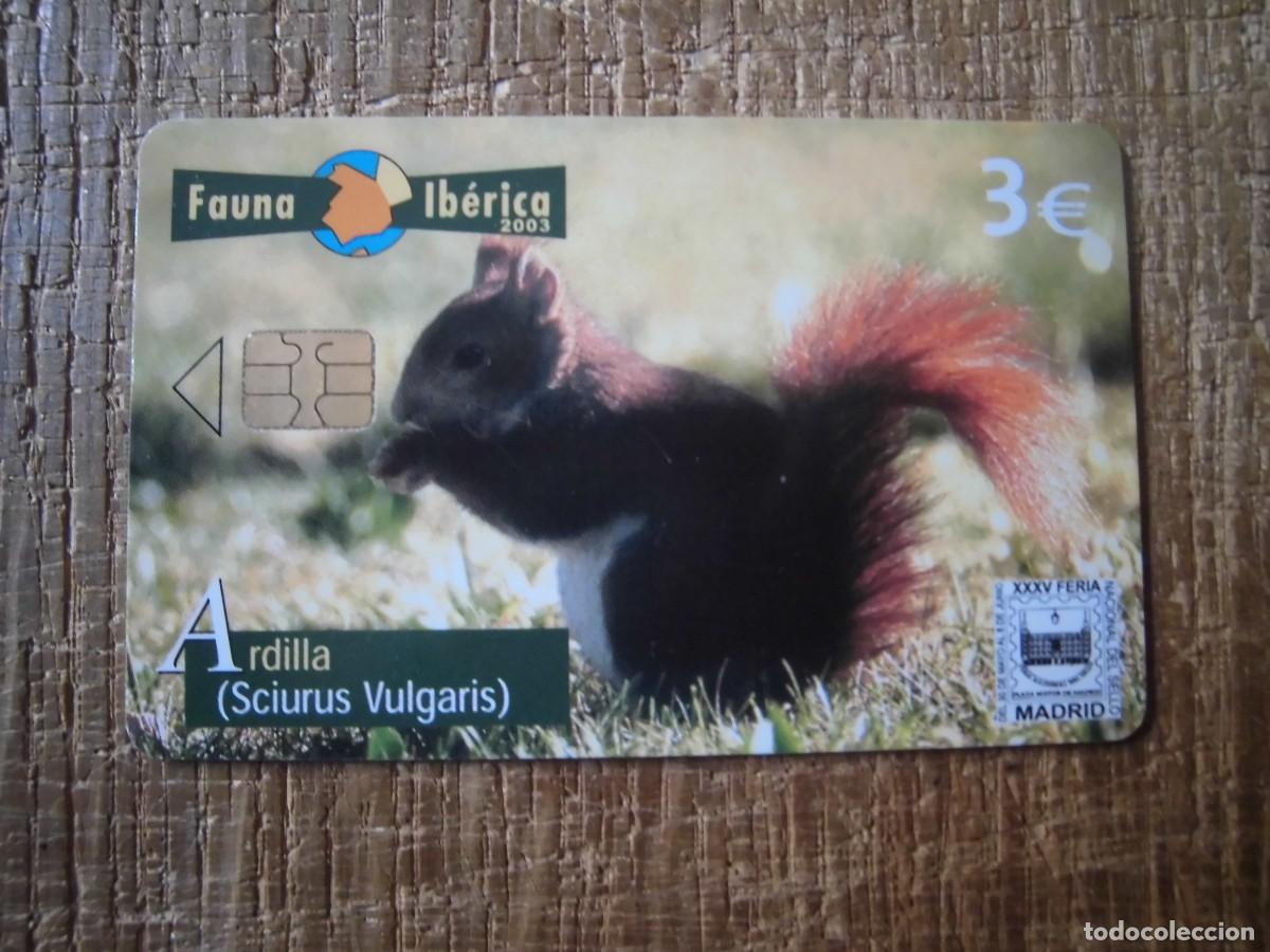 Tarjetas telef&oacute;nicas de colecci&oacute;n: TARJETA TELEF&Oacute;NICA ARDILLA FAUNA IB&Eacute;RICA 3 EUROS