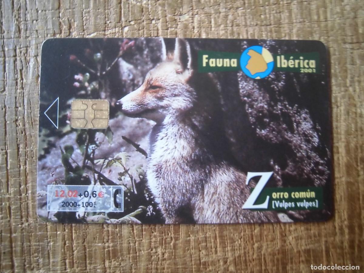 Tarjetas telef&oacute;nicas de colecci&oacute;n: TARJETA TELEF&Oacute;NICA ZORRO COM&Uacute;N FAUNA IB&Eacute;RICA 12 EUROS