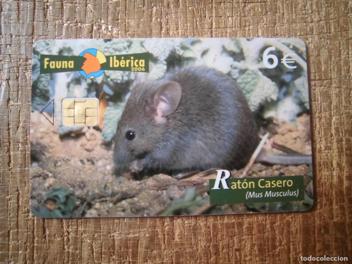 Tarjetas telef&oacute;nicas de colecci&oacute;n: TARJETA TELEF&Oacute;NICA RAT&Oacute;N CASERO FAUNA IB&Eacute;RICA 6 EUROS