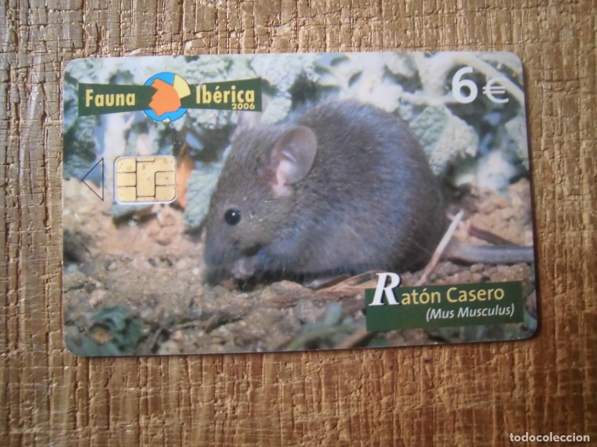 Tarjetas telef&oacute;nicas de colecci&oacute;n: TARJETA TELEF&Oacute;NICA RAT&Oacute;N CASERO FAUNA IB&Eacute;RICA 6 EUROS
