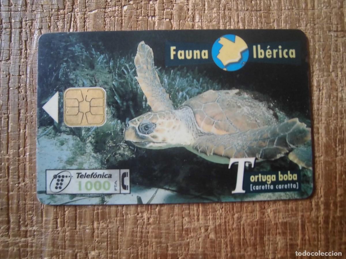 Tarjetas telef&oacute;nicas de colecci&oacute;n: TARJETA TELEF&Oacute;NICA TORTUGA BOBA FAUNA IB&Eacute;RICA 1000 PESETAS