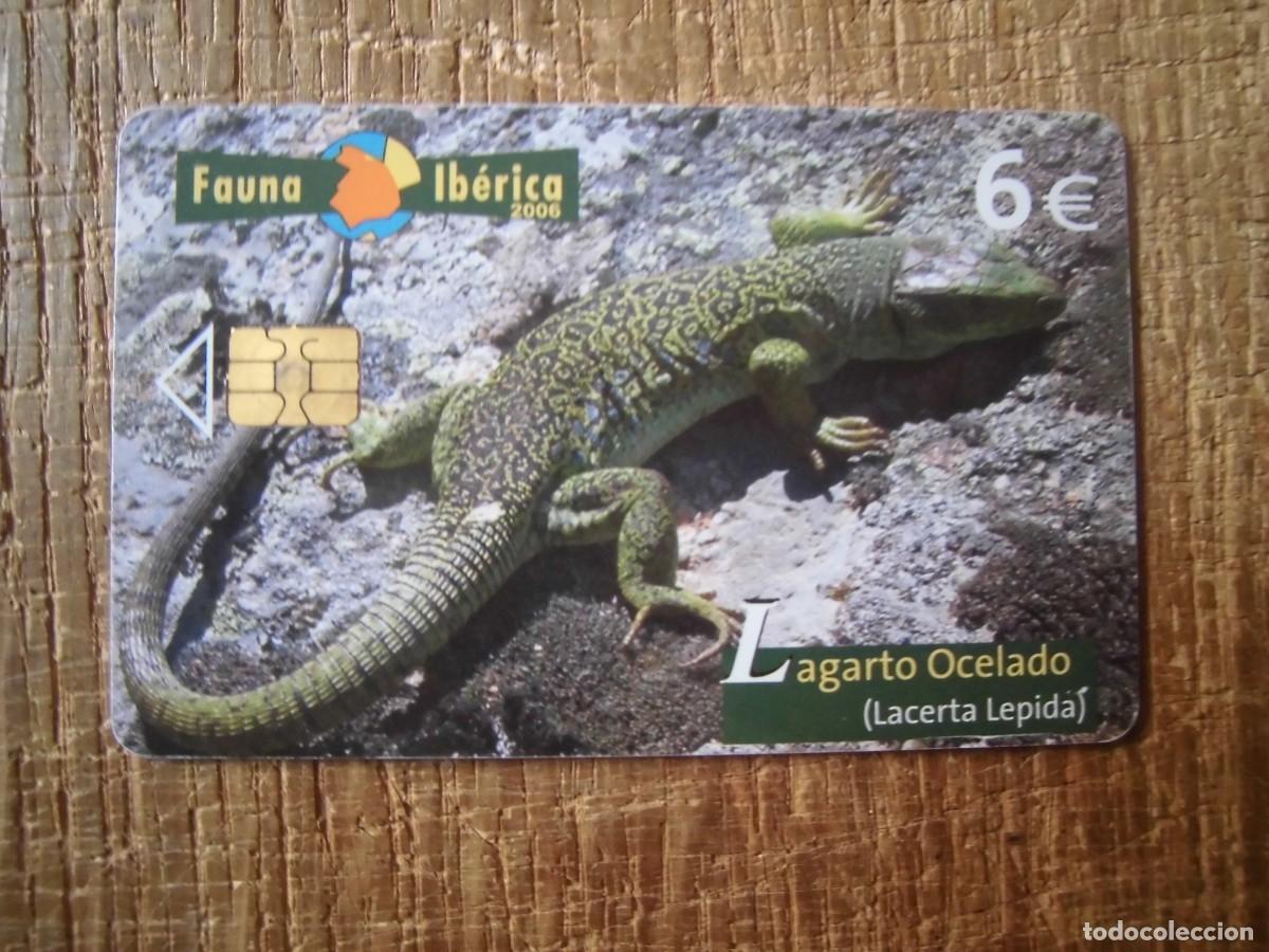 Tarjetas telef&oacute;nicas de colecci&oacute;n: TARJETA TELEF&Oacute;NICA LAGARTO OCELADO FAUNA IB&Eacute;RICA 6 EUROS
