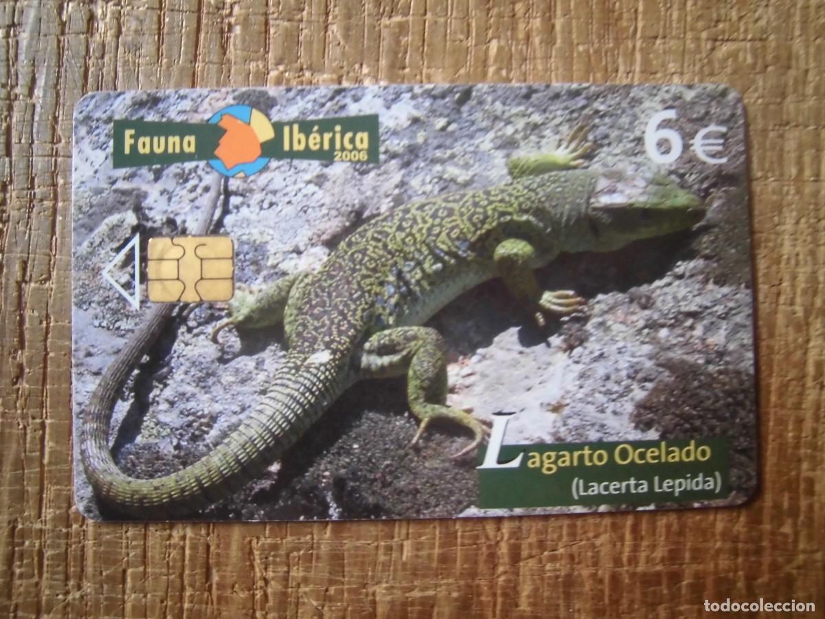 Tarjetas telef&oacute;nicas de colecci&oacute;n: TARJETA TELEF&Oacute;NICA LAGARTO OCELADO FAUNA IB&Eacute;RICA 6 EUROS