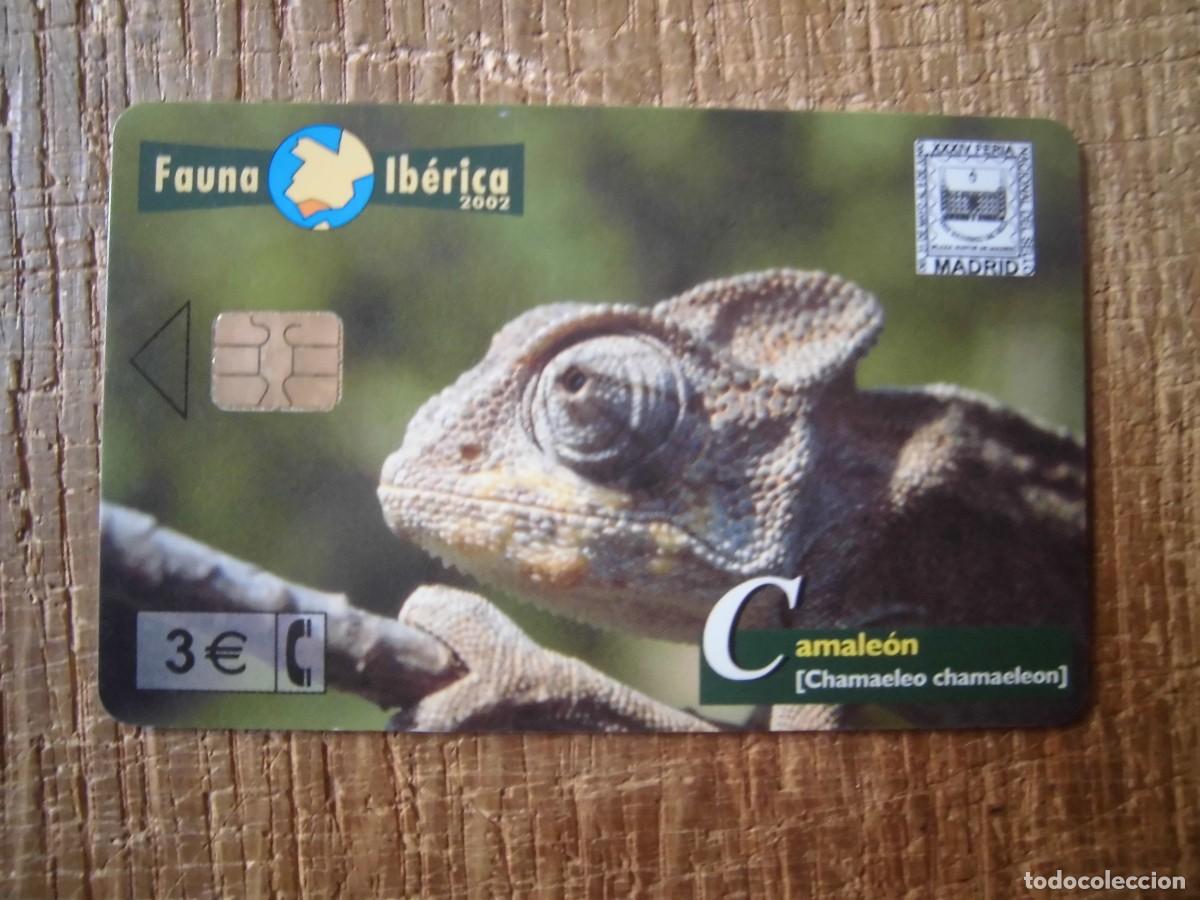 Tarjetas telef&oacute;nicas de colecci&oacute;n: TARJETA TELEF&Oacute;NICA CAMALE&Oacute;N FAUNA IB&Eacute;RICA 3 EUROS