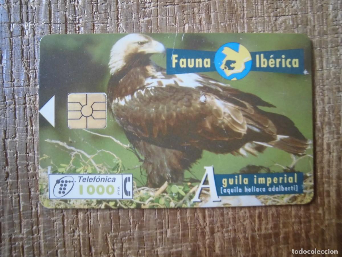 Tarjetas telef&oacute;nicas de colecci&oacute;n: TARJETA TELEF&Oacute;NICA &Aacute;GUILA IMPERIAL FAUNA IB&Eacute;RICA 1000 PESETAS