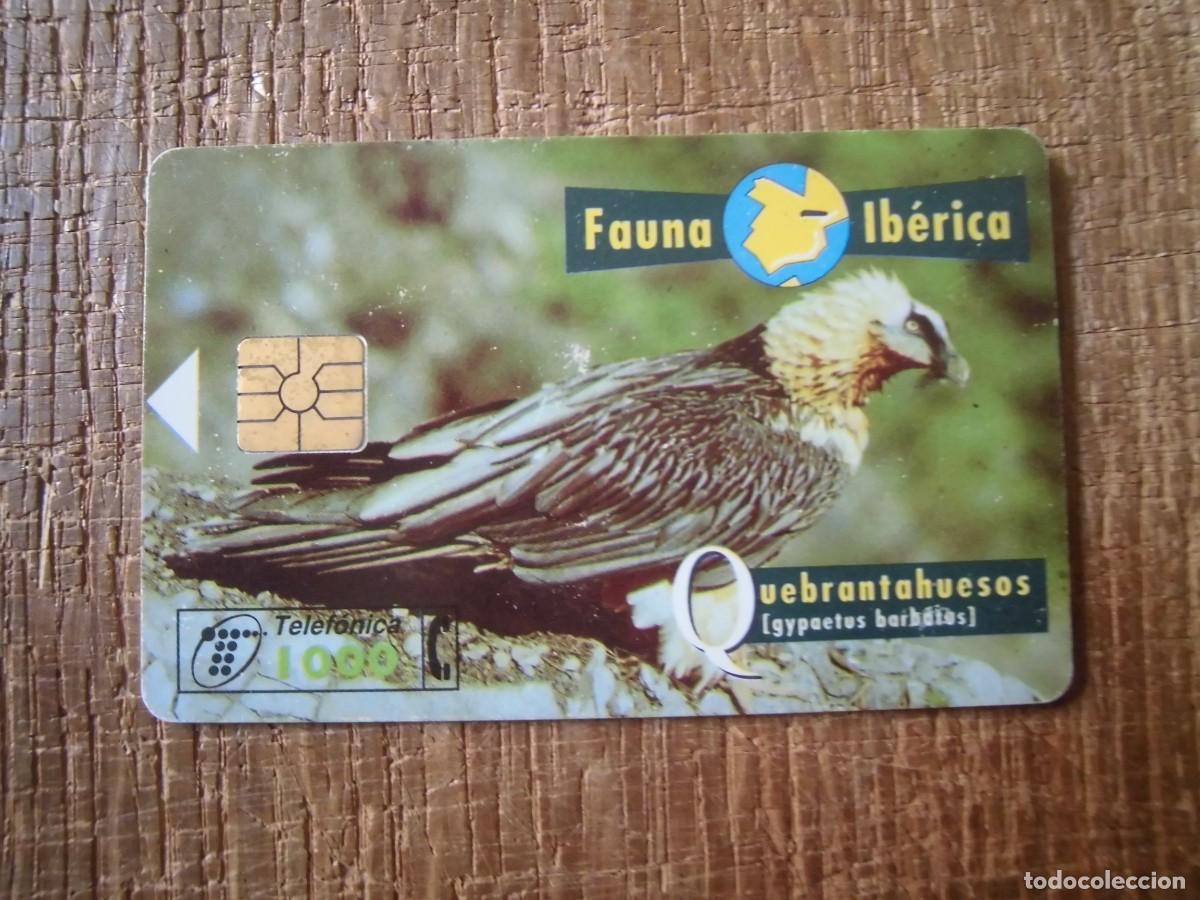 Tarjetas telef&oacute;nicas de colecci&oacute;n: TARJETA TELEF&Oacute;NICA QUEBRANTAHUESOS FAUNA IB&Eacute;RICA 1000 PESETAS