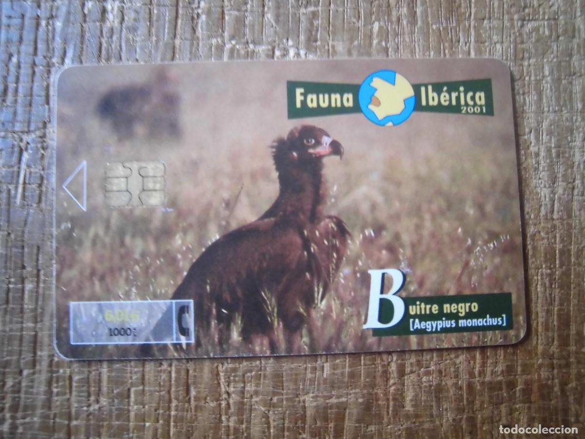 Tarjetas telef&oacute;nicas de colecci&oacute;n: TARJETA TELEF&Oacute;NICA BUITRE NEGRO FAUNA IB&Eacute;RICA 1000 PESETAS