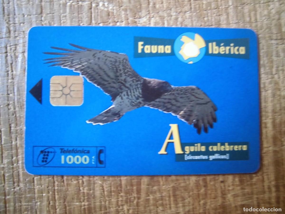 Tarjetas telef&oacute;nicas de colecci&oacute;n: TARJETA TELEF&Oacute;NICA &Aacute;GUILA CULEBRERA FAUNA IB&Eacute;RICA 1000 PESETAS
