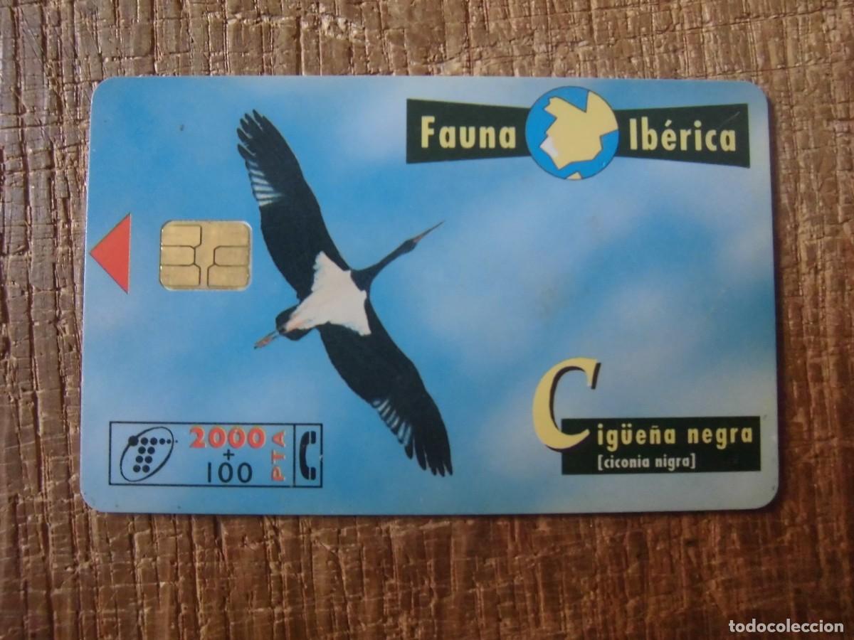 Tarjetas telef&oacute;nicas de colecci&oacute;n: TARJETA TELEF&Oacute;NICA CIG&Uuml;E&Ntilde;A NEGRA FAUNA IB&Eacute;RICA 1000 PESETAS