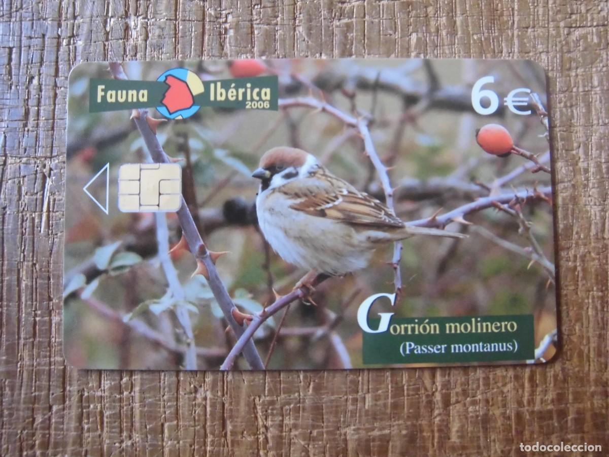 Tarjetas telef&oacute;nicas de colecci&oacute;n: TARJETA TELEF&Oacute;NICA GORRI&Oacute;N MOLINERO FAUNA IB&Eacute;RICA 6 EUROS