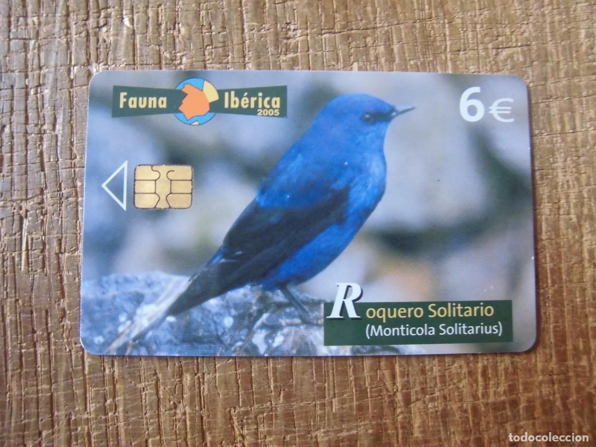 Tarjetas telef&oacute;nicas de colecci&oacute;n: TARJETA TELEF&Oacute;NICA ROQUERO SOLITARIO FAUNA IB&Eacute;RICA 6 EUROS