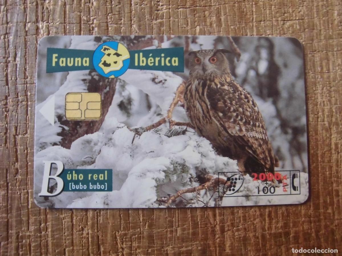 Tarjetas telef&oacute;nicas de colecci&oacute;n: TARJETA TELEF&Oacute;NICA B&Uacute;HO REAL FAUNA IB&Eacute;RICA 2000 PESETAS