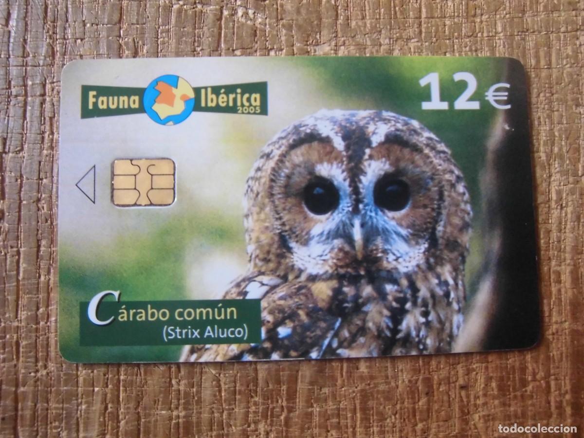 Tarjetas telef&oacute;nicas de colecci&oacute;n: TARJETA TELEF&Oacute;NICA C&Aacute;RABO COM&Uacute;N FAUNA IB&Eacute;RICA 12 EUROS