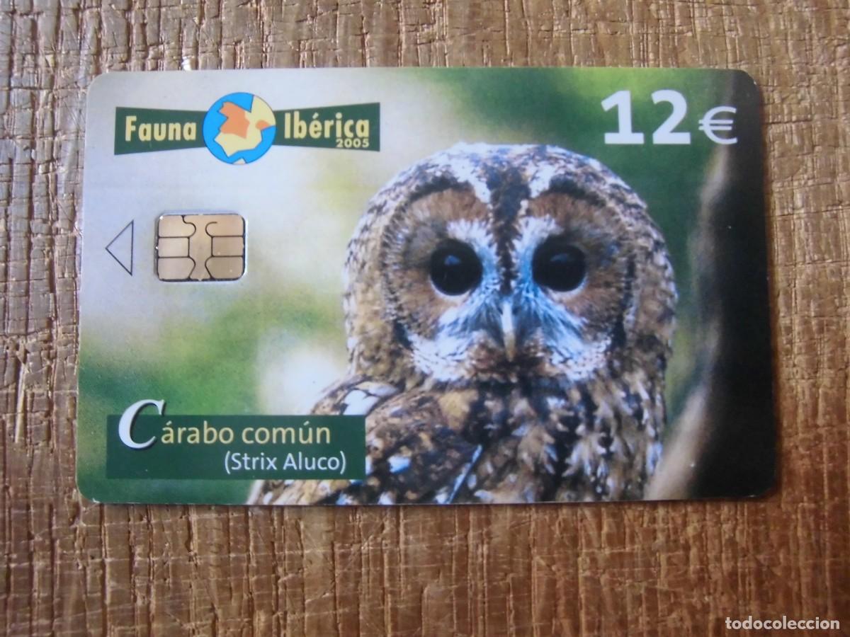 Tarjetas telef&oacute;nicas de colecci&oacute;n: TARJETA TELEF&Oacute;NICA C&Aacute;RABO COM&Uacute;N FAUNA IB&Eacute;RICA 12 EUROS