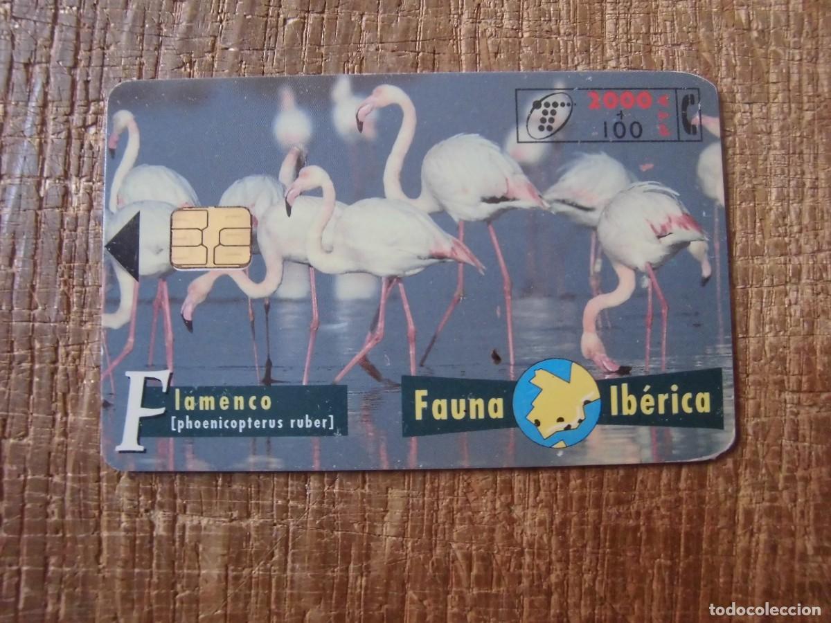 Tarjetas telef&oacute;nicas de colecci&oacute;n: TARJETA TELEF&Oacute;NICA FLAMENCO FAUNA IB&Eacute;RICA 2000 PESETAS