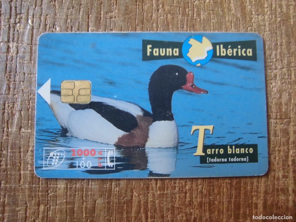 Tarjetas telef&oacute;nicas de colecci&oacute;n: TARJETA TELEF&Oacute;NICA TARRO BLANCO FAUNA IB&Eacute;RICA 2000 PESETAS