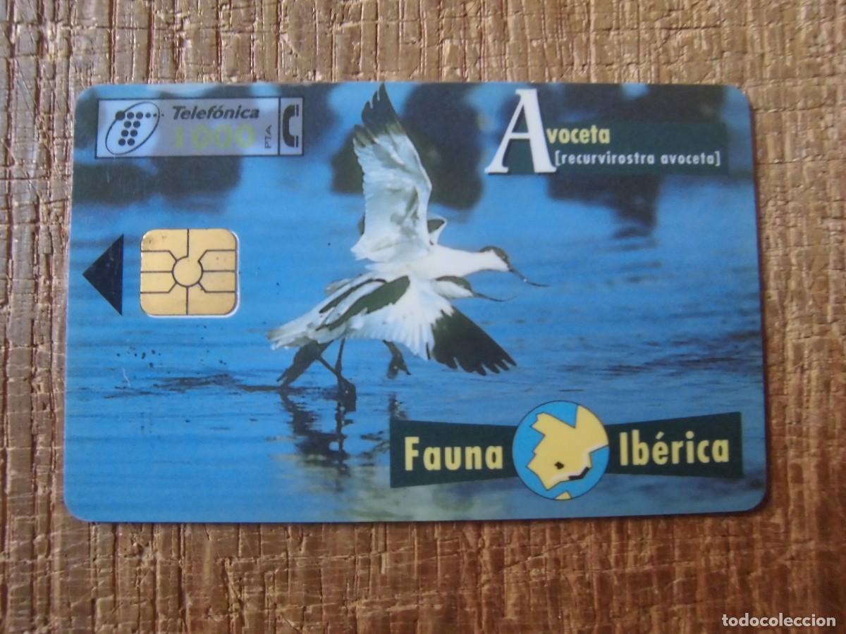 Tarjetas telef&oacute;nicas de colecci&oacute;n: TARJETA TELEF&Oacute;NICA AVOCETA FAUNA IB&Eacute;RICA 1000 PESETAS
