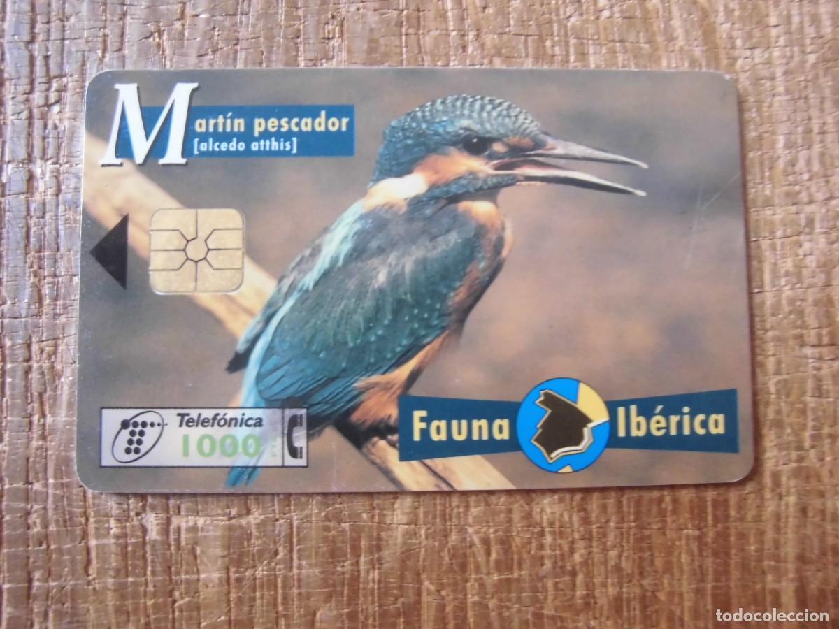 Tarjetas telef&oacute;nicas de colecci&oacute;n: TARJETA TELEF&Oacute;NICA MART&Iacute;N PESCADOR FAUNA IB&Eacute;RICA 1000 PESETAS