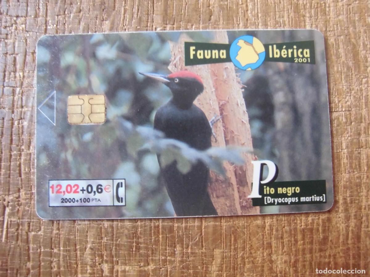 Tarjetas telef&oacute;nicas de colecci&oacute;n: TARJETA TELEF&Oacute;NICA PITO NEGRO FAUNA IB&Eacute;RICA 12 EUROS
