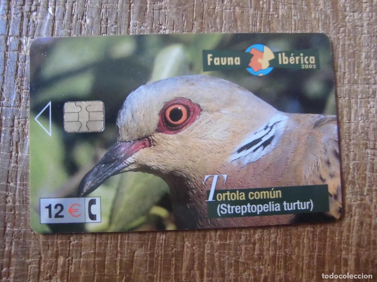 Tarjetas telef&oacute;nicas de colecci&oacute;n: TARJETA TELEF&Oacute;NICA T&Oacute;RTOLA COM&Uacute;N FAUNA IB&Eacute;RICA 12 EUROS