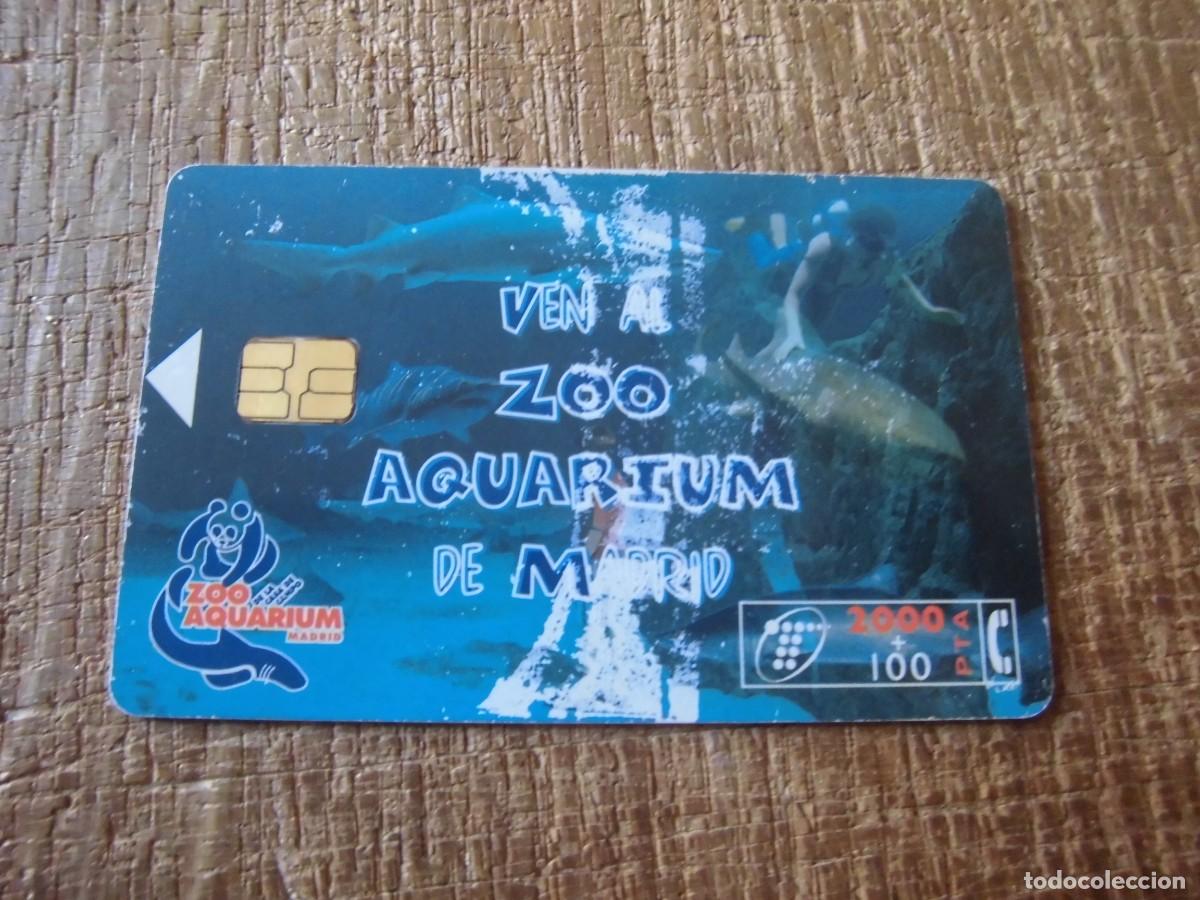 Tarjetas telef&oacute;nicas de colecci&oacute;n: TARJETA TELEF&Oacute;NICA VEN AL ZOO AQUARIUM DE MADRID 2000 PESETAS