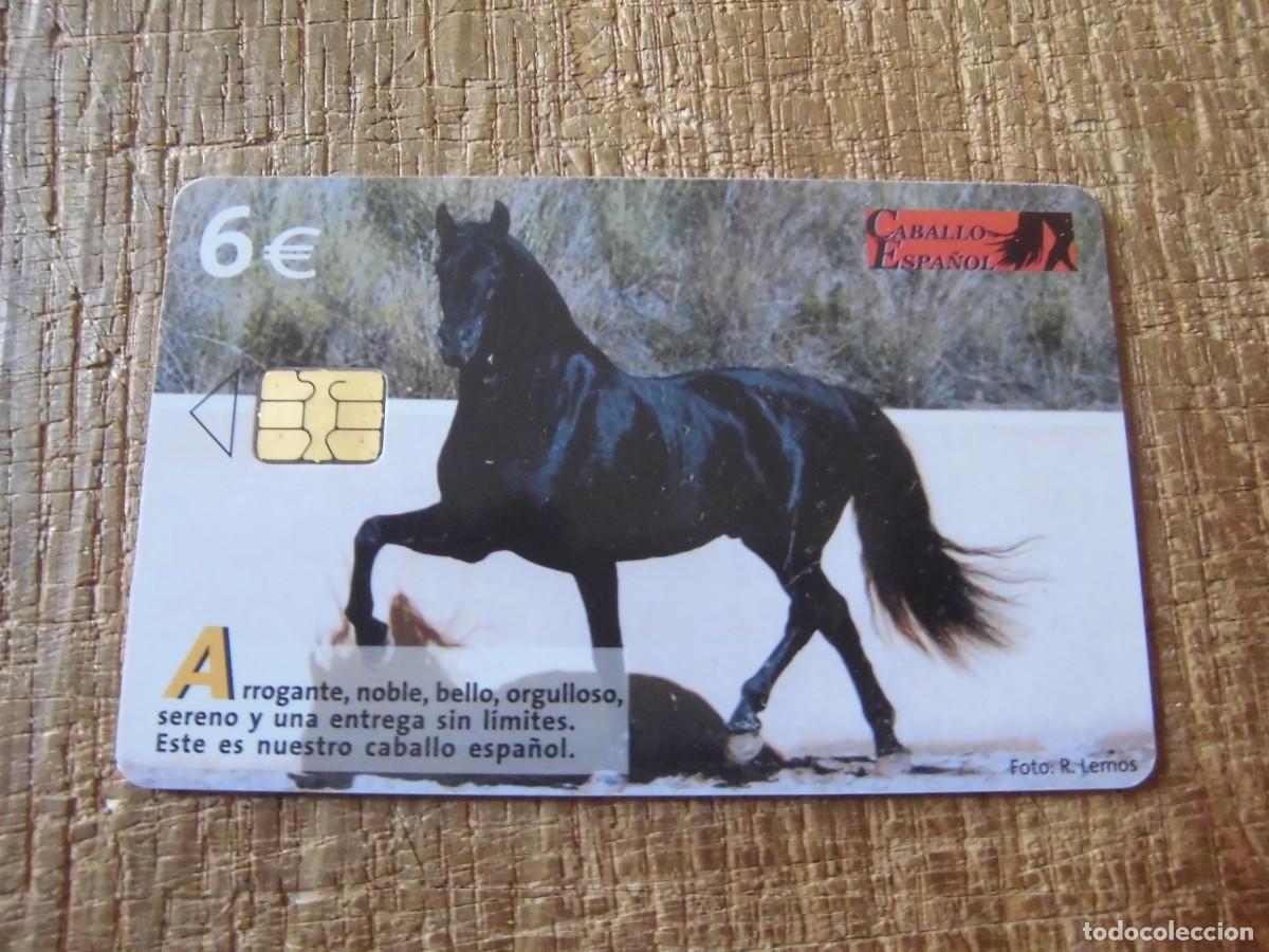 Tarjetas telef&oacute;nicas de colecci&oacute;n: TARJETA TELEF&Oacute;NICA ANCCE 6 EUROS