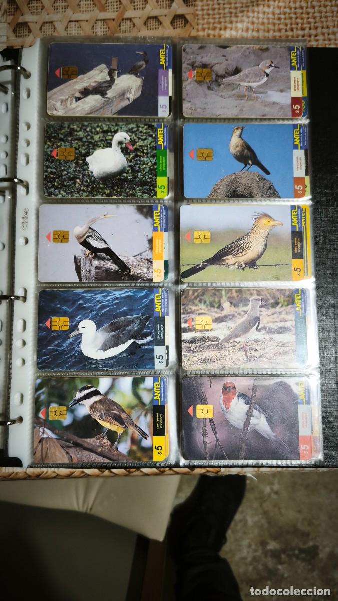 Tarjetas telef&oacute;nicas de colecci&oacute;n: Colecci&oacute;n tarjetas de Antel - Foto 8