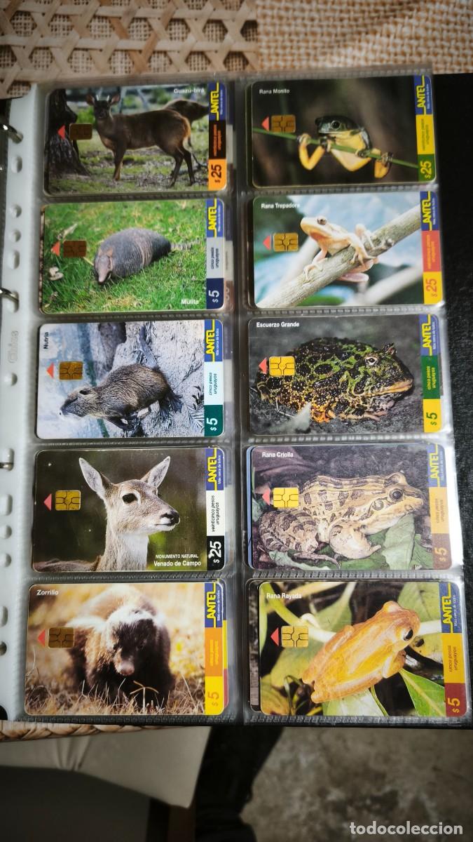 Tarjetas telef&oacute;nicas de colecci&oacute;n: Colecci&oacute;n tarjetas de Antel - Foto 10
