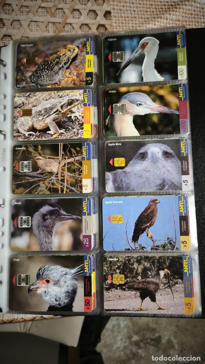 Tarjetas telef&oacute;nicas de colecci&oacute;n: Colecci&oacute;n tarjetas de Antel - Foto 11