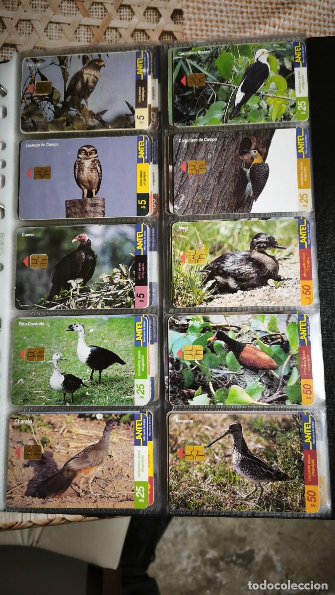 Tarjetas telef&oacute;nicas de colecci&oacute;n: Colecci&oacute;n tarjetas de Antel - Foto 12