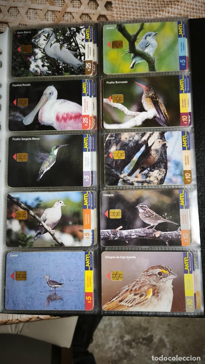 Tarjetas telef&oacute;nicas de colecci&oacute;n: Colecci&oacute;n tarjetas de Antel - Foto 13