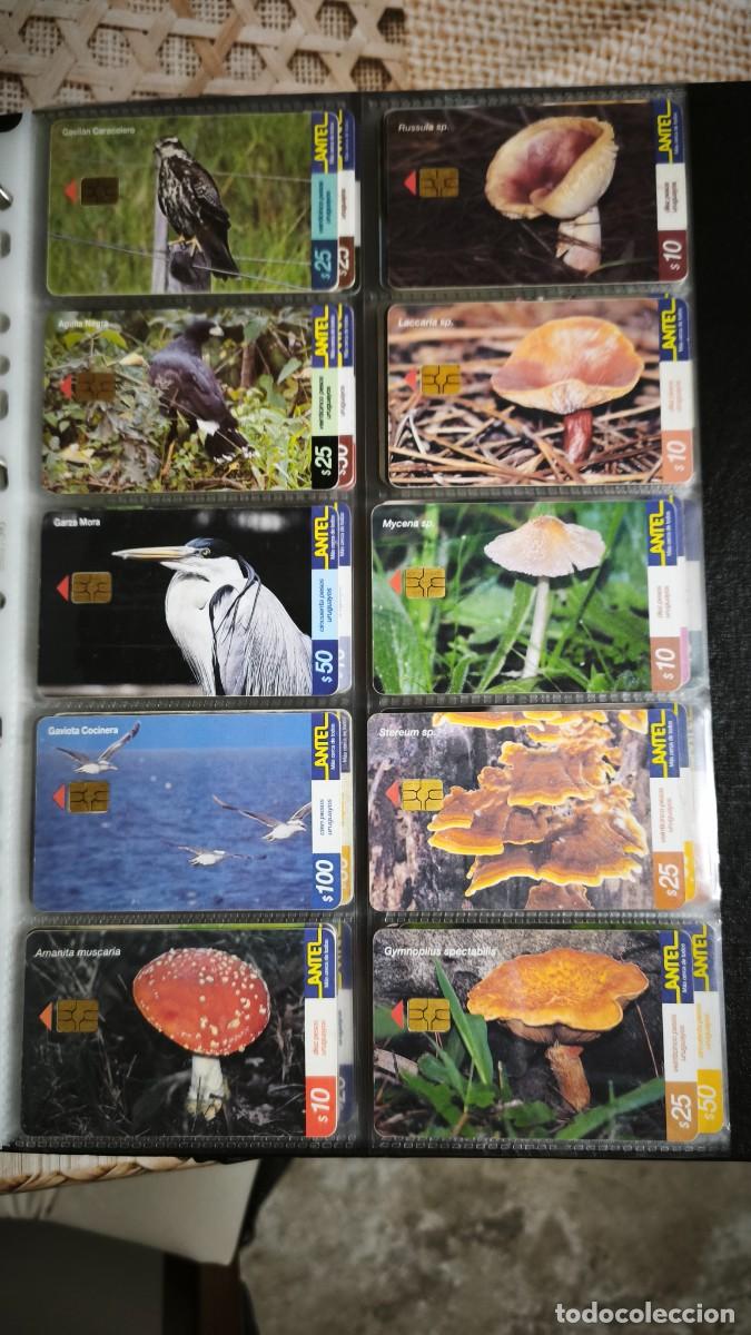 Tarjetas telef&oacute;nicas de colecci&oacute;n: Colecci&oacute;n tarjetas de Antel - Foto 16