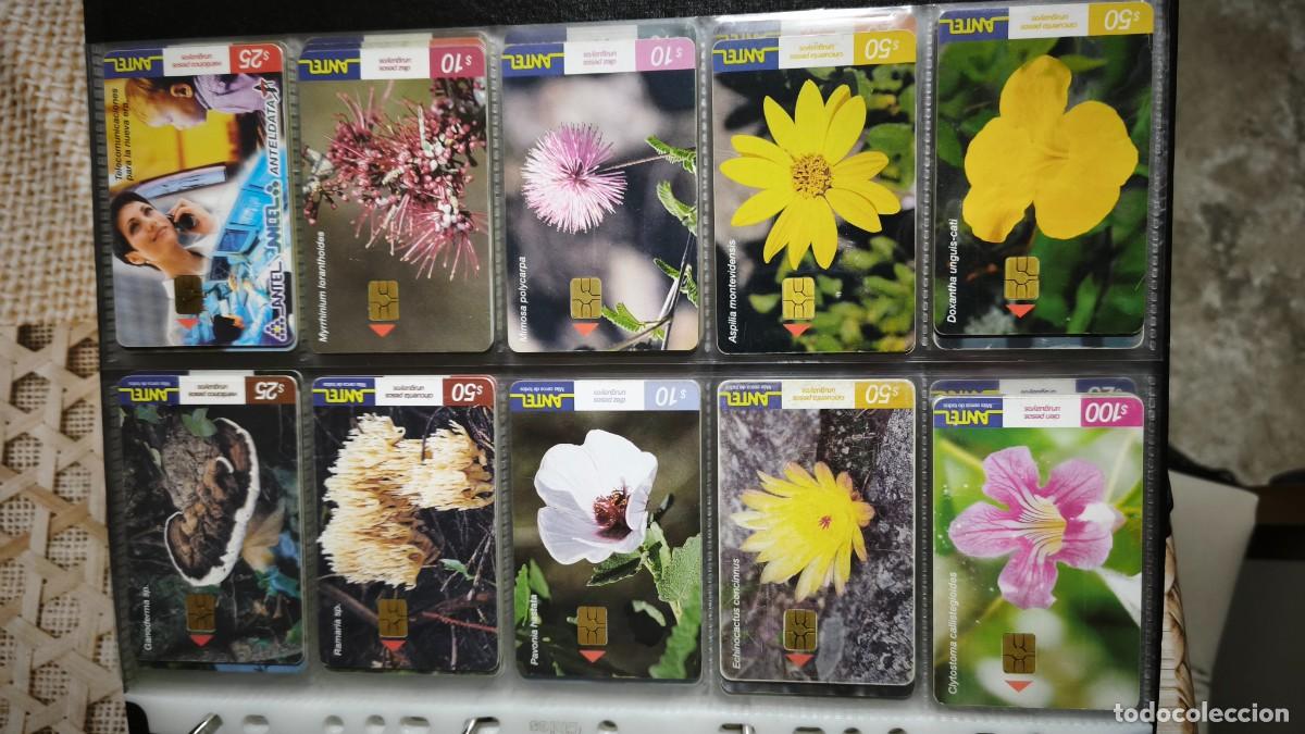 Tarjetas telef&oacute;nicas de colecci&oacute;n: Colecci&oacute;n tarjetas de Antel - Foto 17