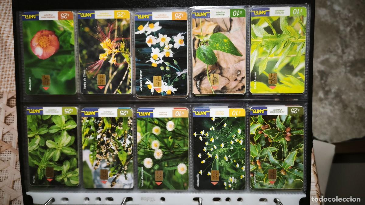 Tarjetas telef&oacute;nicas de colecci&oacute;n: Colecci&oacute;n tarjetas de Antel - Foto 23
