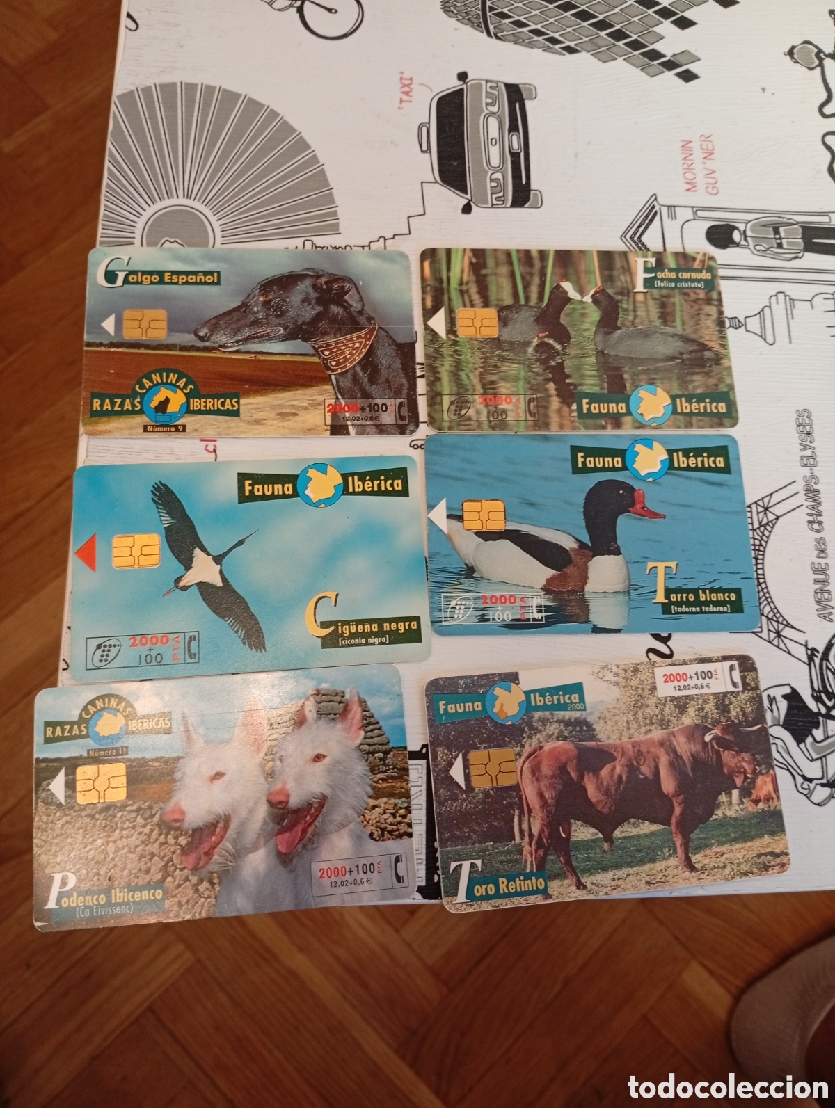Tarjetas telef&oacute;nicas de colecci&oacute;n: 6 tarjetas telefonica fauna ib&eacute;rica