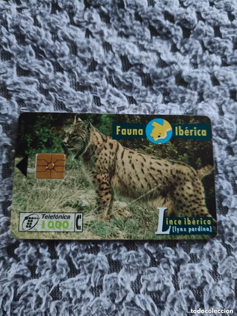 Tarjetas telef&oacute;nicas de colecci&oacute;n: Tarjeta Telef&oacute;nica. Serie Fauna Ib&eacute;rica. Lince Ib&eacute;rico