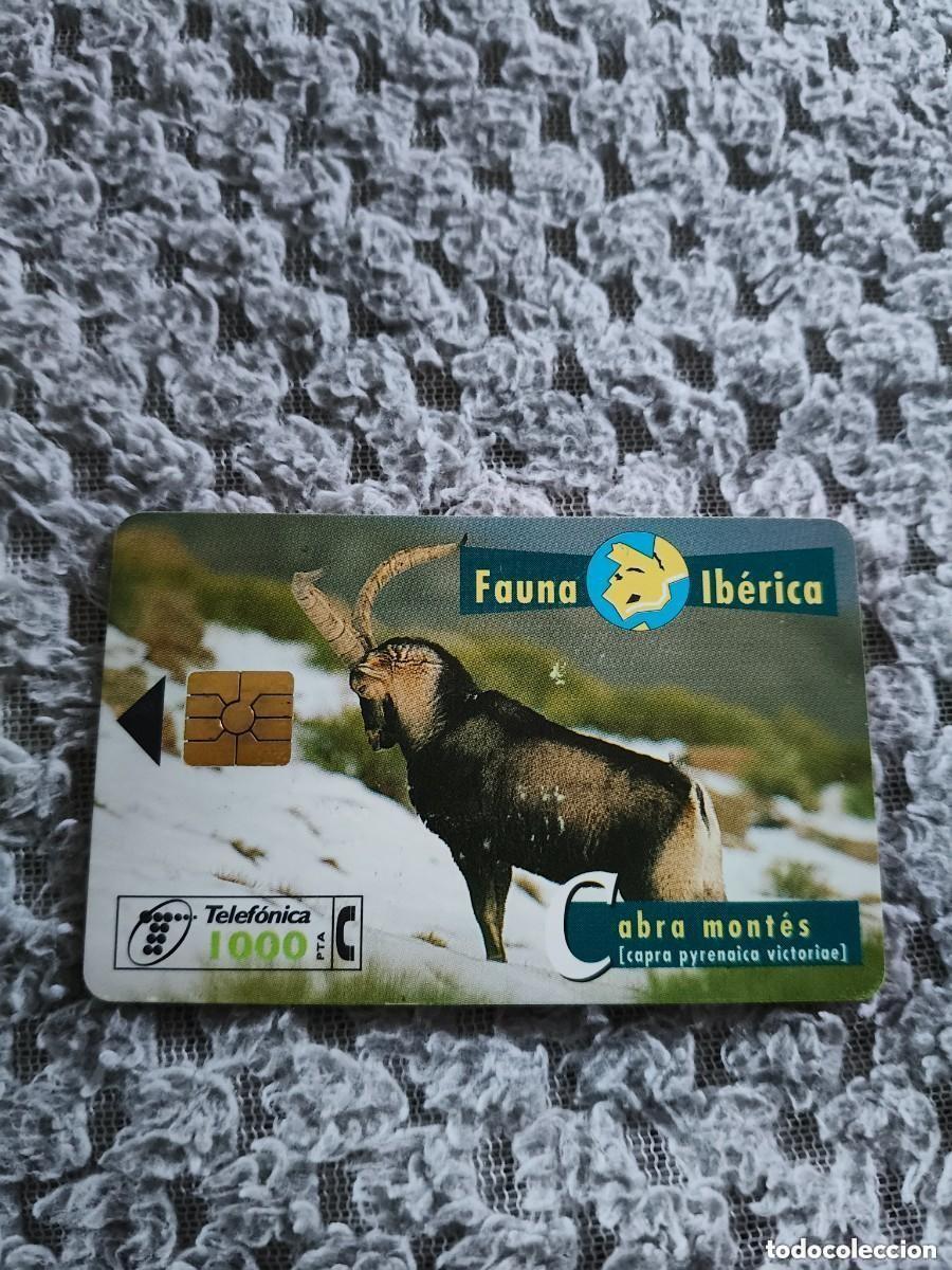 Tarjetas telef&oacute;nicas de colecci&oacute;n: Tarjeta Telef&oacute;nica Fauna Ib&eacute;rica - Cabra mont&eacute;s