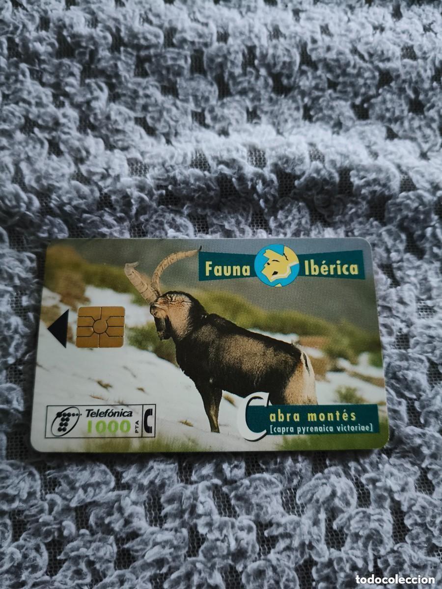 Tarjetas telef&oacute;nicas de colecci&oacute;n: Tarjeta Telef&oacute;nica Fauna Ib&eacute;rica - Cabra mont&eacute;s