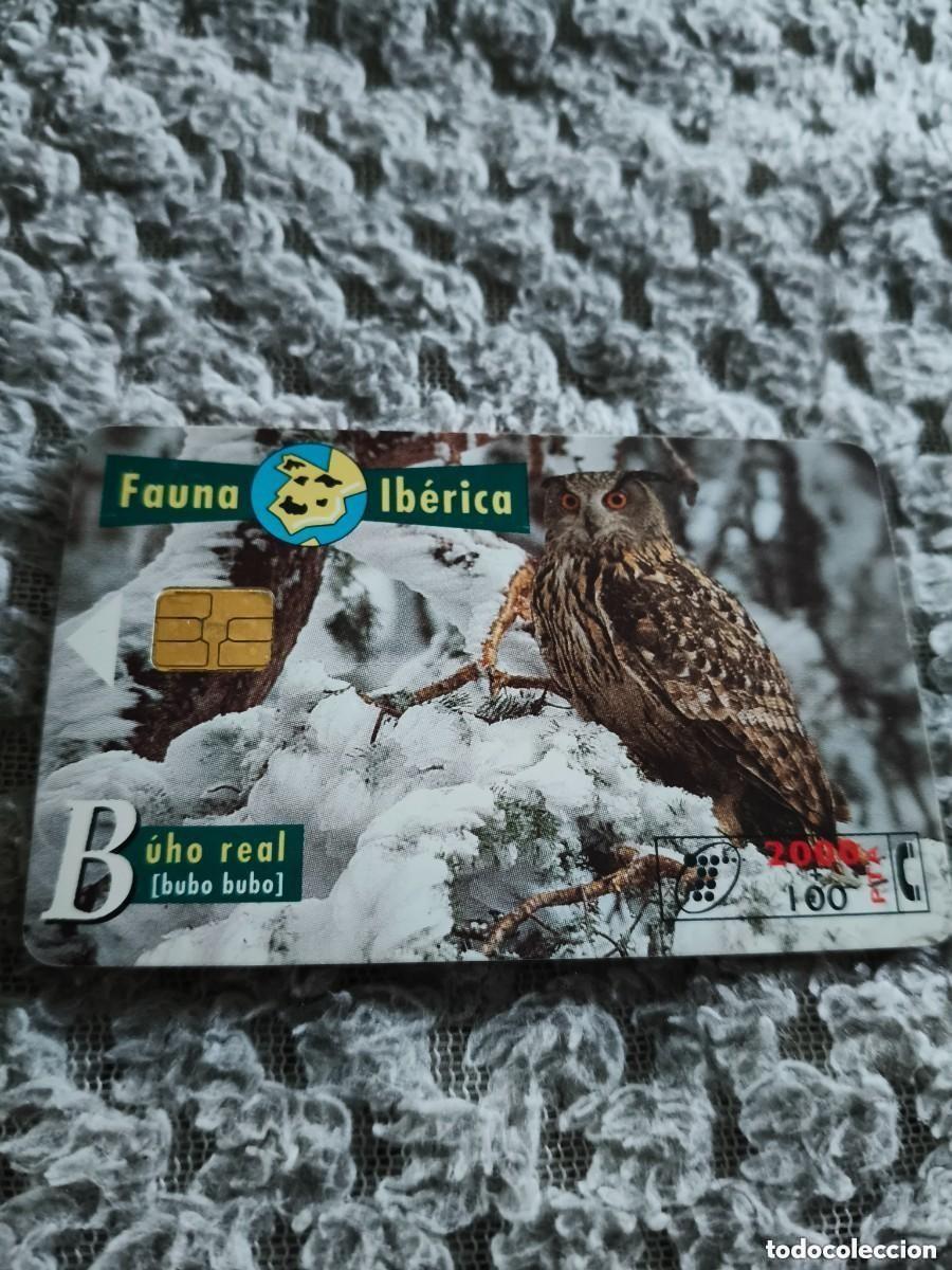 Tarjetas telef&oacute;nicas de colecci&oacute;n: TARJETA TELEF&Oacute;NICA FAUNA IB&Eacute;RICA - B&Uacute;HO REAL