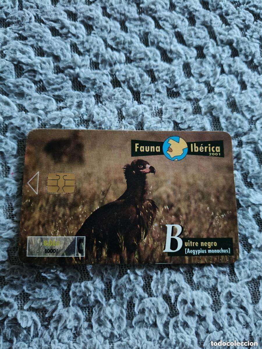 Tarjetas telef&oacute;nicas de colecci&oacute;n: Tarjeta Telef&oacute;nica. Serie FAUNA IB&Eacute;RICA. Buitre Negro