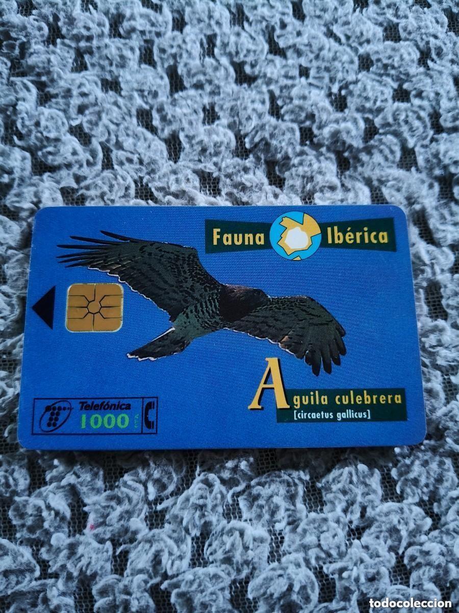 Tarjetas telef&oacute;nicas de colecci&oacute;n: Tarjeta Telefonica Fauna Iberica Aguila Culebrera