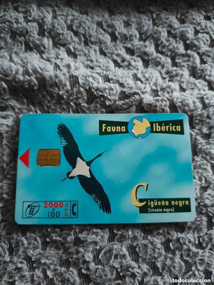 Tarjetas telef&oacute;nicas de colecci&oacute;n: Tarjeta Telef&oacute;nica Fauna Ib&eacute;rica - Cig&uuml;e&ntilde;a negra