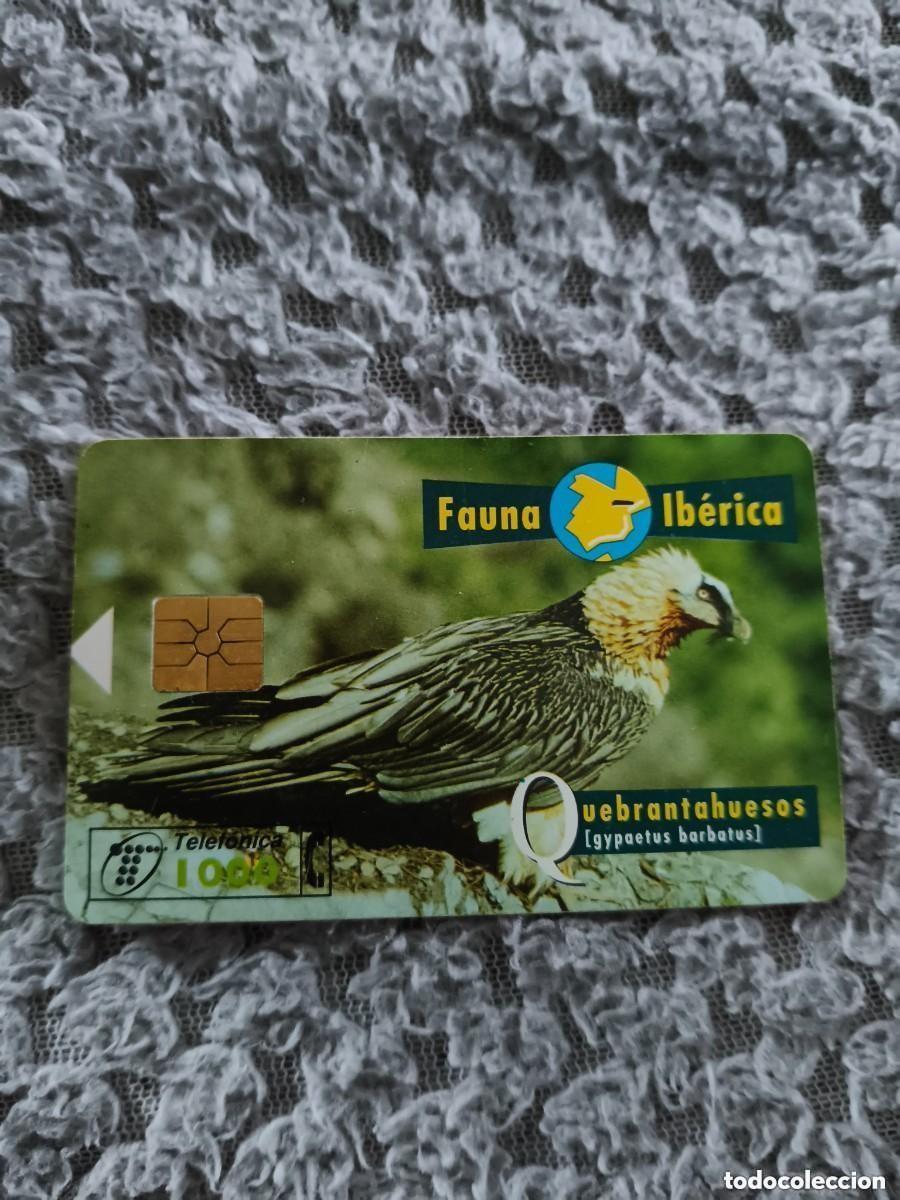 Tarjetas telef&oacute;nicas de colecci&oacute;n: Tarjeta telefonica espa&ntilde;a,fauna ib&eacute;rica,quebrantahuesos