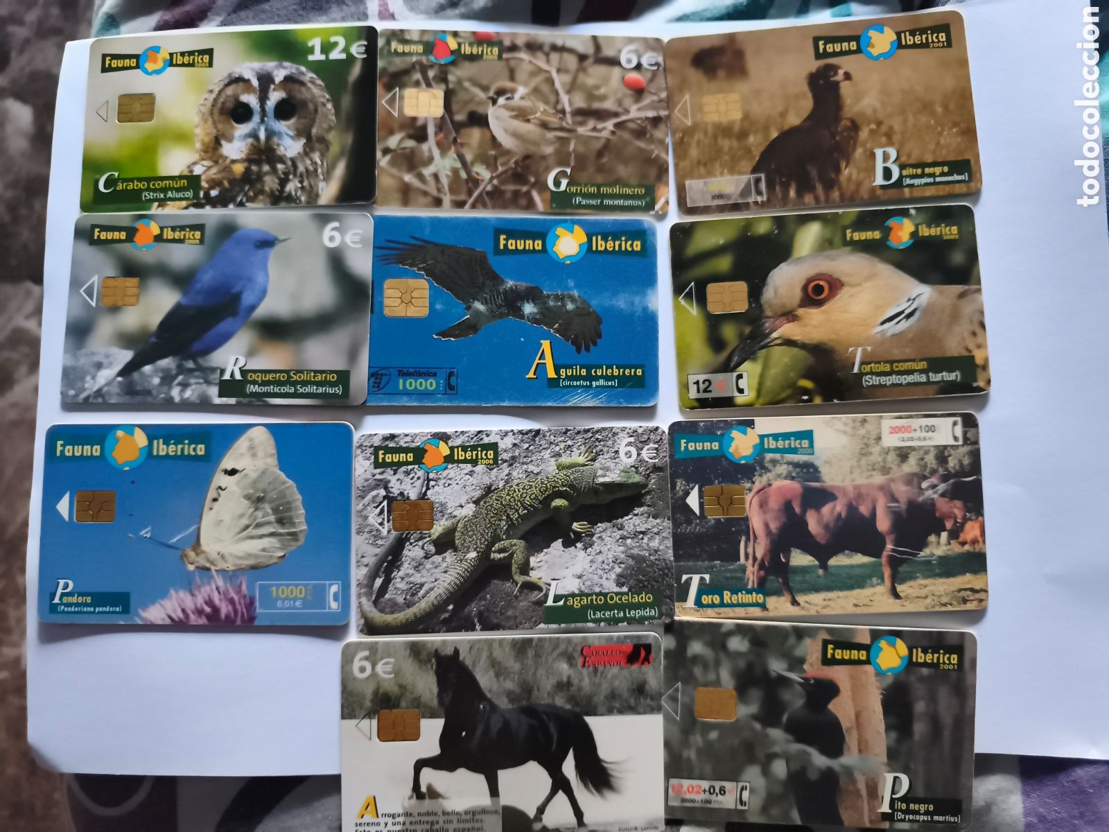 Tarjetas telef&oacute;nicas de colecci&oacute;n: TARJETAS TELEFONICAS FAUNA IBERICA