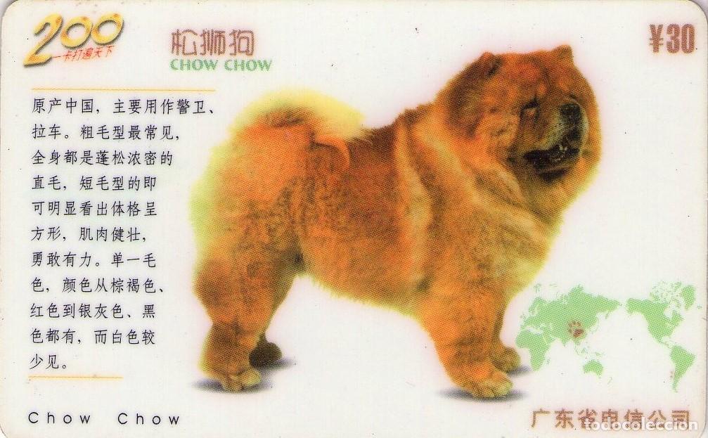 Tarjetas telef&oacute;nicas de colecci&oacute;n: CHINA. D0146(6-6). CHOW CHOW DOG. (2209)
